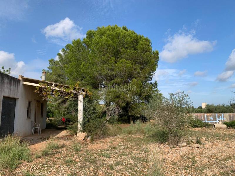 Foto 7ce502a7-874b-4306-8945-21b37c68fce7. Propriété dans Partidas de Interior - Zona Rústica Vinaròs