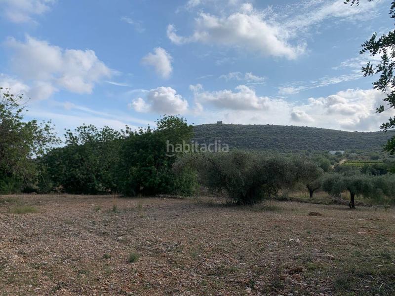 Foto e33dacf2-b1a8-428d-afdb-830d61554d9f. Propriété dans Partidas de Interior - Zona Rústica Vinaròs