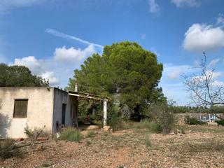 Finca rústica  Poligono 43, parcelas 350, 353,559. Venta de terreno en vinaròs