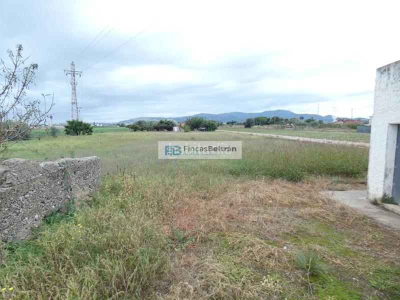 Foto 22d835e6-79f0-4563-b71e-b927132726b2. Fondo rustico in Pueblo Benicarló