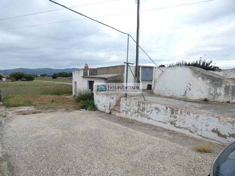 Foto b2c4d39d-068a-452d-9db6-e73eccbd94aa. Fondo rustico in Pueblo Benicarló