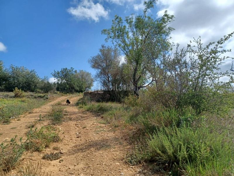 Foto 2cedb106-fa53-4509-8d6a-2b5d6f3692ac. Terreno residencial venta de finca rústica edificable en Sant Mateu