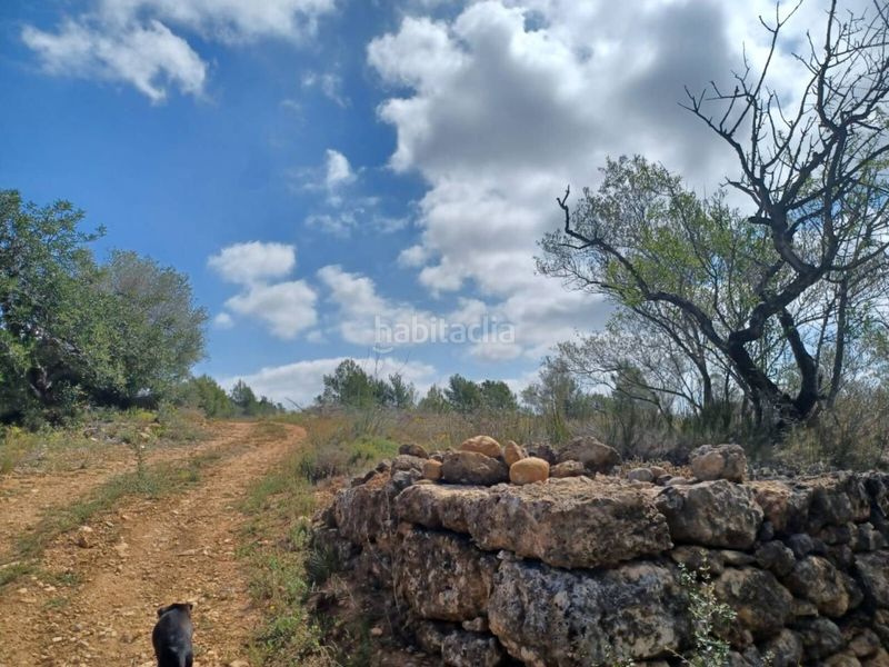 Foto b409aee5-cb76-4d81-813d-a8bf194c2623. Terreno residencial venta de finca rústica edificable en Sant Mateu