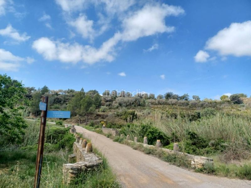 Foto c71198d1-67b0-4a7b-a07a-7dfc6c7b3f3c. Terreno residencial venta de finca rústica edificable en Sant Mateu