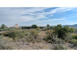 Fondo rustico  Calle poligono 22 parcela 415. Finca rústica en venta en sant mateu.