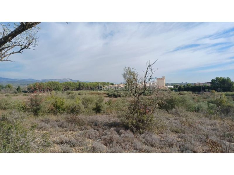 Foto 8ce5d99a-ae27-4a5e-bf2e-1981965151b0. Finca rústica a Sant Mateu