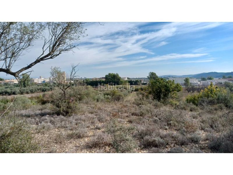 Foto c2d02b04-d9db-4e09-81ea-5da659214d04. Finca rústica a Sant Mateu