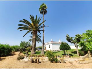 Masia  Poligono 3, parcela 398, 301. Casa de campo en benicarlo