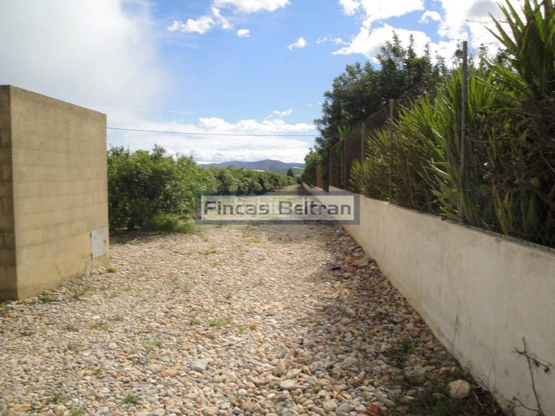 Foto a6ae18bd-fa32-4759-a87a-6ce79d43d191. Finca rústica finca rustica de naranjos en Puerto Benicarló