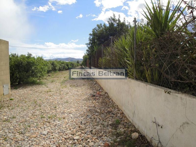 Foto bf758917-901e-40dc-aef9-4e3a04f8d8db. Finca rústica finca rustica de naranjos en Puerto Benicarló