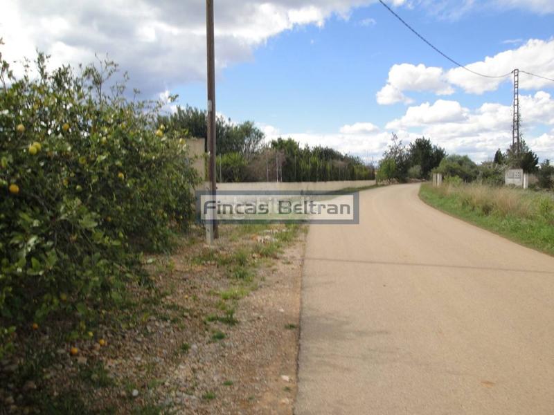 Foto c568c68d-7f79-4f65-91ea-d04b270fb5cd. Finca rústica finca rustica de naranjos en Puerto Benicarló
