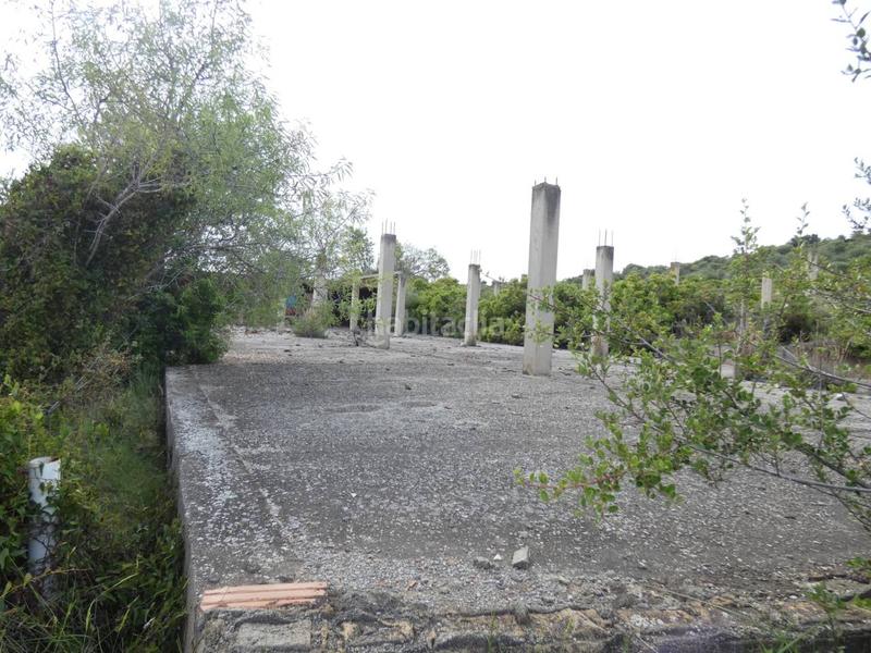 Foto 5fbc5de7-67e0-4bfe-9905-5923927af610. Finca rústica a Pueblo Benicarló