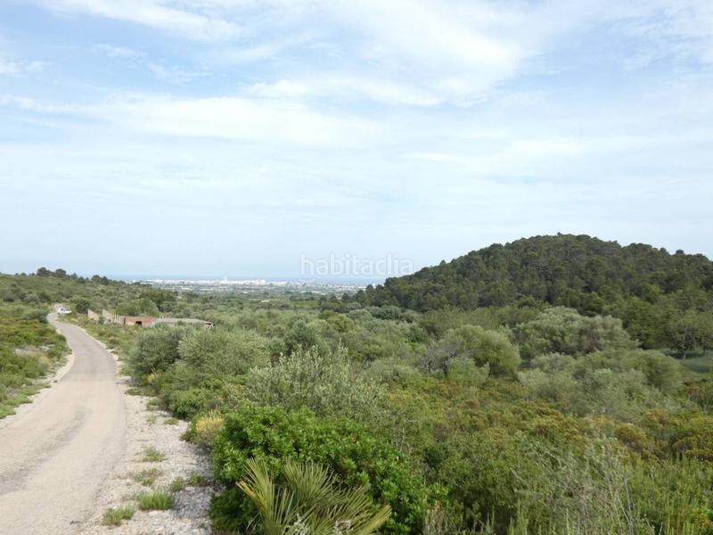Foto dd2ebfa2-53b0-478e-84f0-2491d4db249a. Finca rústica a Pueblo Benicarló