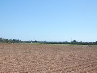 Finca rstica  Partida puig pol 3. Finca a 5 km de benicarlo y de vinaroz