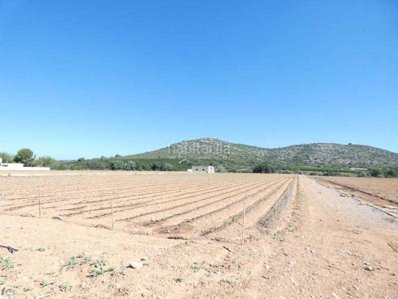 Foto 07d283dc-2e99-472b-bdb2-59c3666e0a07. Finca rústica a Pueblo Benicarló