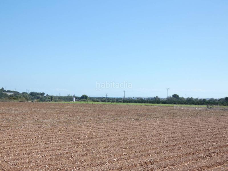 Foto 07f55d78-bc09-4d75-8209-d455806c42aa. Finca rústica a Pueblo Benicarló