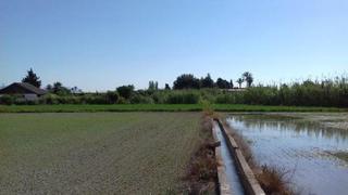 Terreno residencial en El Palmar. Parcela en diseminado la azacaya los dolores murcia