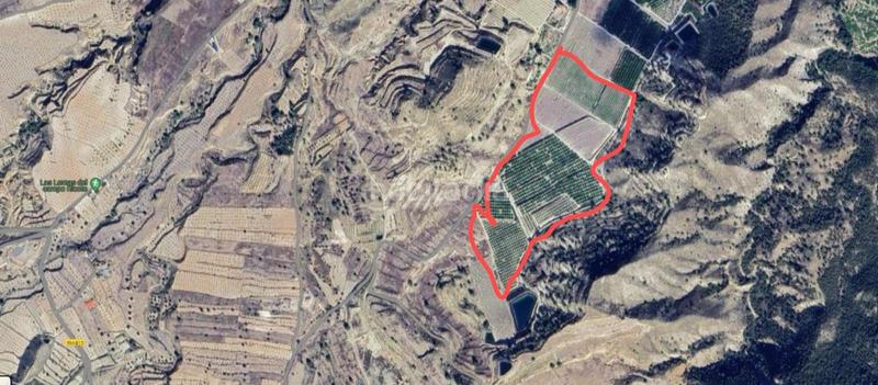 Foto 00fa38ce-de69-46c7-944c-fc6df9efaab7. Finca rústica a Ricote