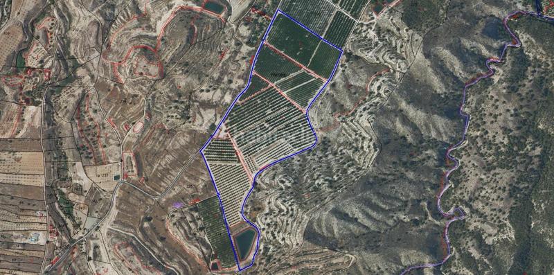 Foto f86eafae-f023-41cd-aa58-203c33fb005a. Finca rústica a Ricote