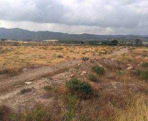 Terreno residencial en El Palmar. Erreno urbanizable para invertir en pago del mayayo,  el palmar
