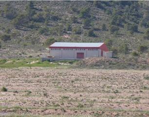 Rural plot in Yecla. Terreno rústico en venta en fuente de la negra, yecla, murcia
