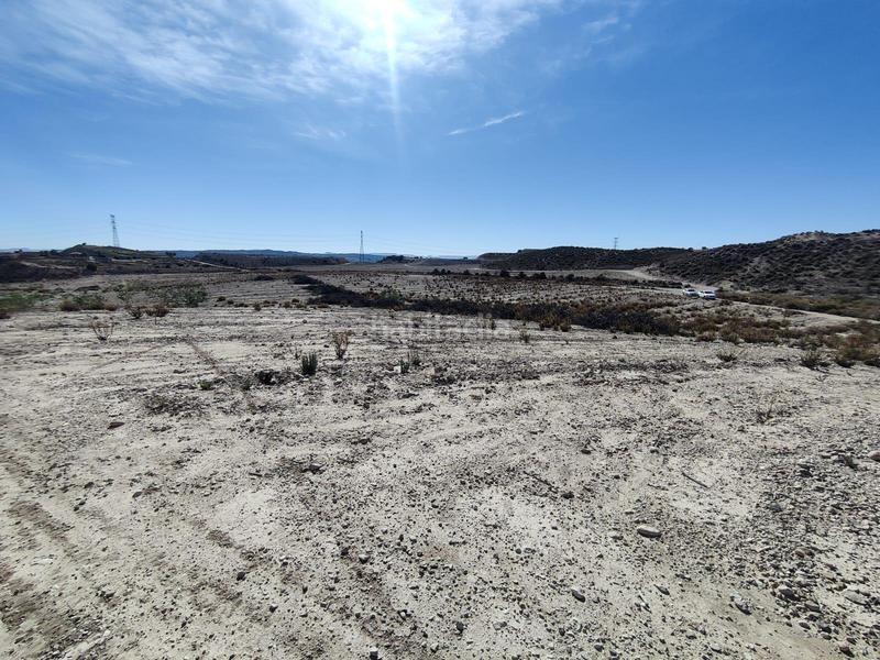 Foto 2656e5c3-a64f-47ed-a570-39a1cb63e119. Finca rústica a Centro Molina de Segura