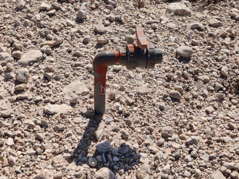 Foto 4073db30-61ae-4d2c-9086-c9a9e3f8f319. Finca rústica a Centro Molina de Segura