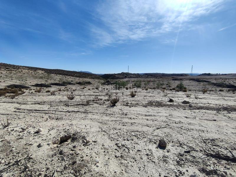 Foto 4d02eb3c-76d7-4d34-a757-7118091640b4. Finca rústica a Centro Molina de Segura