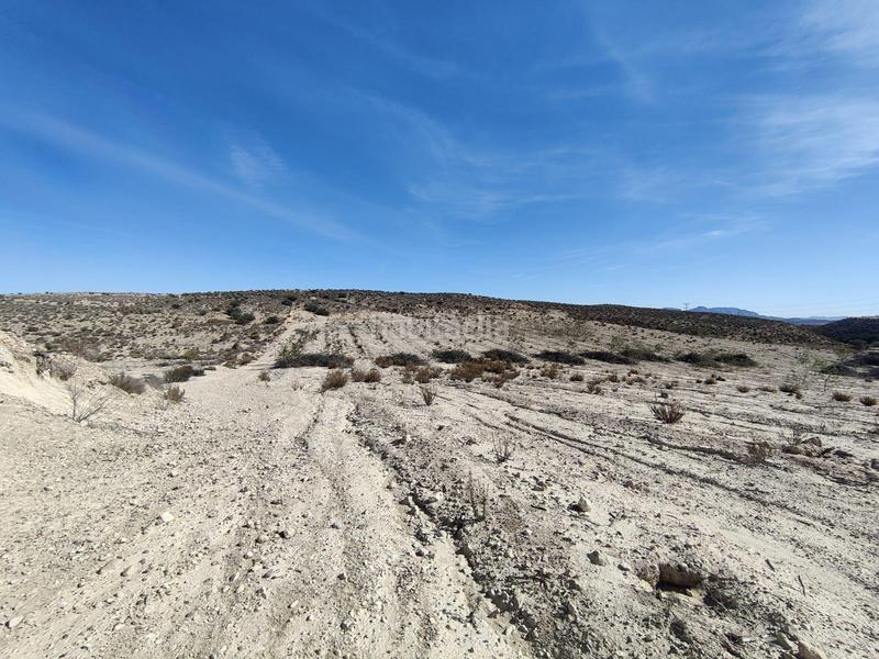 Foto 8845555a-2efe-4921-b6fe-5ffc41cb651a. Finca rústica a Centro Molina de Segura