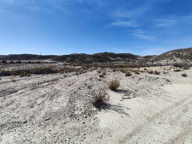 Foto 99eebefa-a5fe-45c0-b6ee-bbc81a95da64. Finca rústica a Centro Molina de Segura