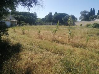 Finca rústica a Núcleo urbano. Terreno rustico en pago del humo