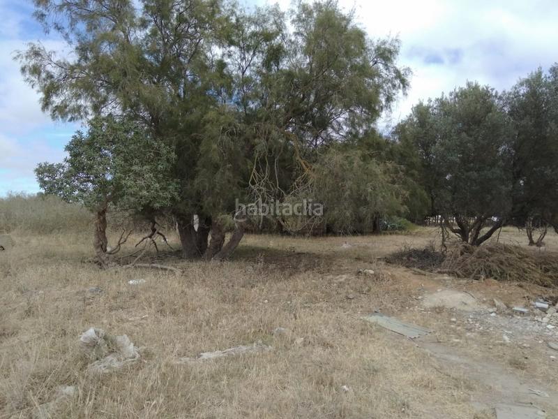 Foto 29e29804-026f-4c7c-a585-7f7876f2cfb4. Terreno residencial magnifica parcela en casines en Puerto Real