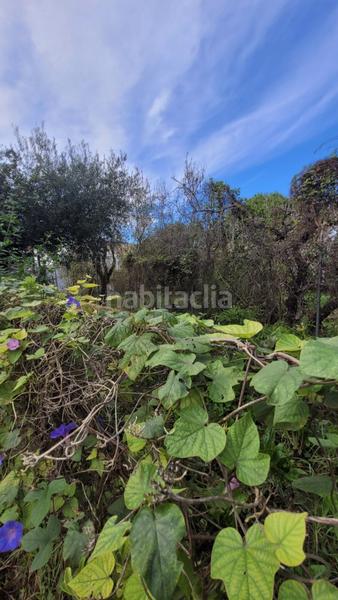 Foto bd340ee4-b237-4872-9ffb-f80b98bef9b8. Chalet avec parking dans Núcleo urbano Chiclana de la Frontera