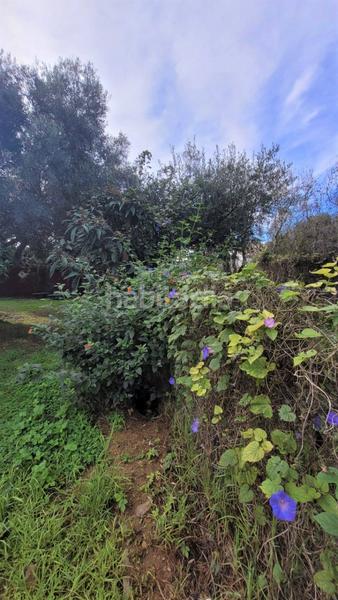 Foto ee5b38c6-d8f6-4d11-b777-4252e2653e6d. Chalet avec parking dans Núcleo urbano Chiclana de la Frontera