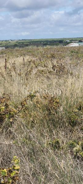 Foto 9a72b46f-5e6b-45e0-9d06-c9cc56aac42f. Propriété dans Villanueva Golf Puerto Real