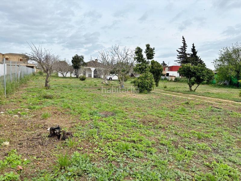 Foto 12be2470-c1a6-4c2d-8e18-cc451acc3a9f. Masía gran parcela rústica con chalet para reformar en venta zona los barrancos en Chiclana de la Frontera