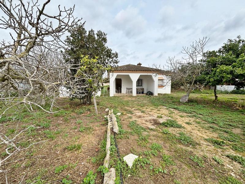 Foto 2689fa28-8705-43e0-abd7-bd4c2adba67b. Masía gran parcela rústica con chalet para reformar en venta zona los barrancos en Chiclana de la Frontera