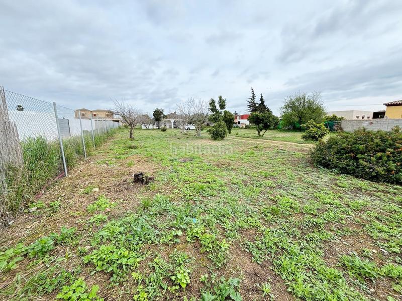 Foto 415947bf-be3a-4cfc-8891-46348740e72a. Masía gran parcela rústica con chalet para reformar en venta zona los barrancos en Chiclana de la Frontera