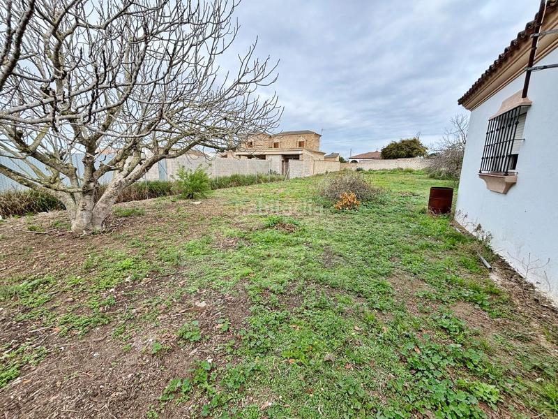 Foto 54736c63-1af0-4e00-878e-86a267a9879d. Masía gran parcela rústica con chalet para reformar en venta zona los barrancos en Chiclana de la Frontera