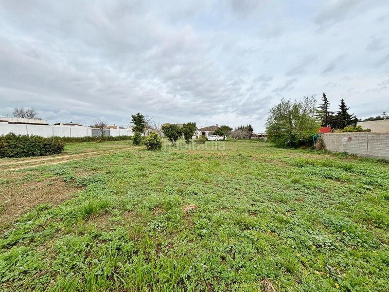 Foto 58275714-7d12-4b88-a350-90a65f59ebf4. Masía gran parcela rústica con chalet para reformar en venta zona los barrancos en Chiclana de la Frontera