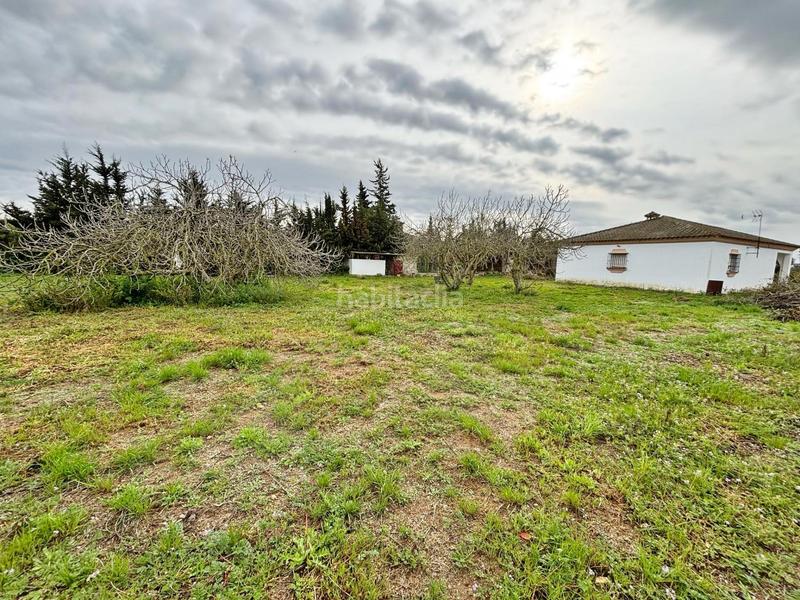 Foto 9a1e731a-7eb8-4e3b-8ab9-fc6173703de4. Masía gran parcela rústica con chalet para reformar en venta zona los barrancos en Chiclana de la Frontera