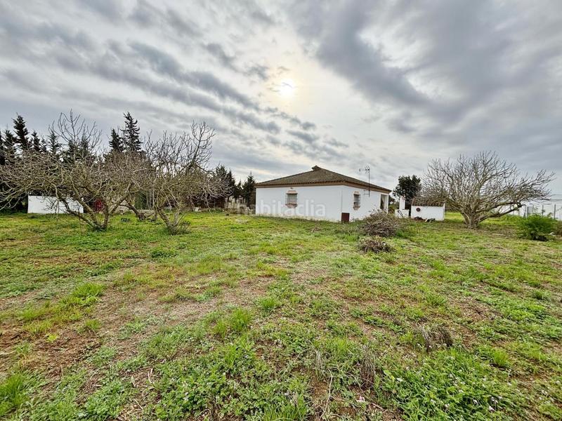 Foto e5f587c5-37c2-42ac-8f3e-e112fe271cf9. Masía gran parcela rústica con chalet para reformar en venta zona los barrancos en Chiclana de la Frontera