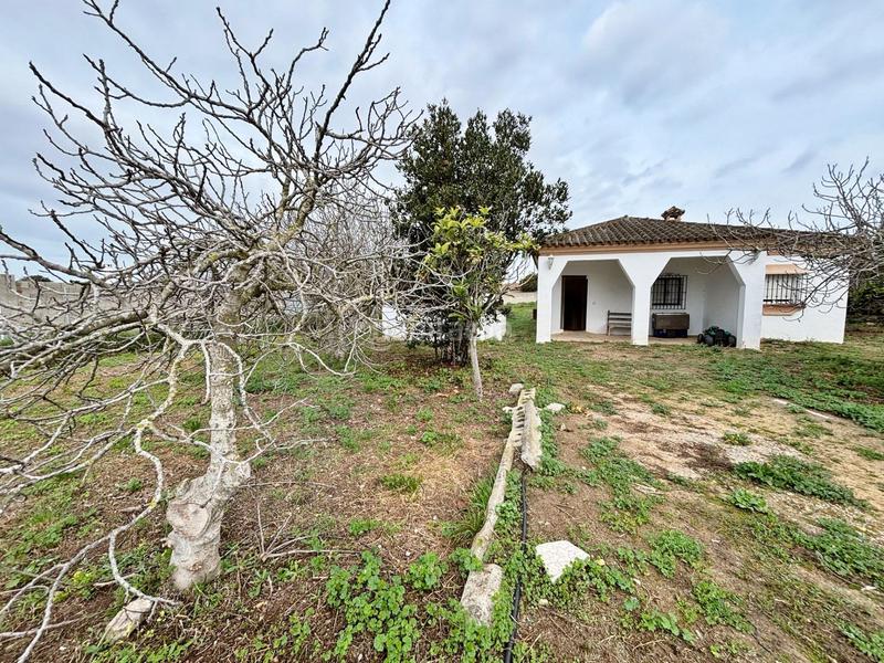 Foto e8c59938-db3a-482c-a861-471dbc4f6924. Masía gran parcela rústica con chalet para reformar en venta zona los barrancos en Chiclana de la Frontera