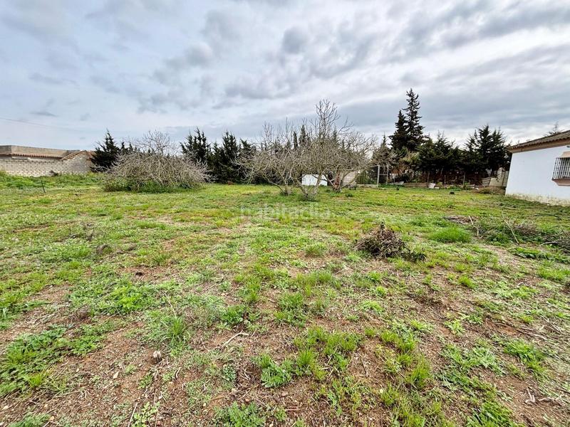 Foto f8c4f663-a4ee-42be-adff-52028bf38832. Masía gran parcela rústica con chalet para reformar en venta zona los barrancos en Chiclana de la Frontera