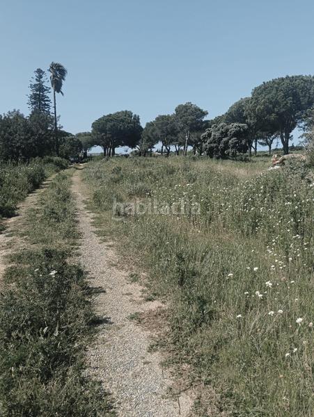 Foto 1192f2bb-03f7-4d5b-83d8-679b2347558c. Finca rústica a Pelagatos - Pago del Humo Chiclana de la Frontera