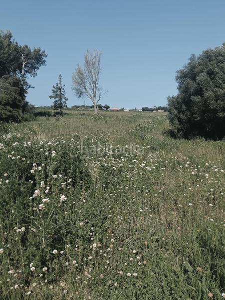 Foto 3fc73ab2-bc46-408d-9774-df6ae2475470. Finca rústica a Pelagatos - Pago del Humo Chiclana de la Frontera