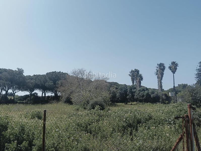 Foto 4d77da35-4ddb-4e0e-8ae5-b3955e59f76d. Finca rústica a Pelagatos - Pago del Humo Chiclana de la Frontera
