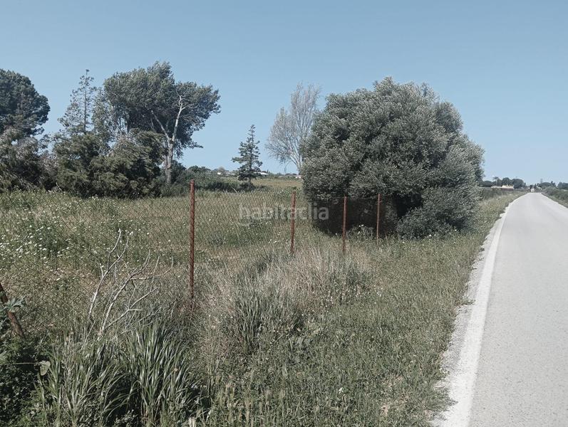 Foto 85e2a18b-b3d1-48b4-a682-93d0f61a85cf. Finca rústica a Pelagatos - Pago del Humo Chiclana de la Frontera