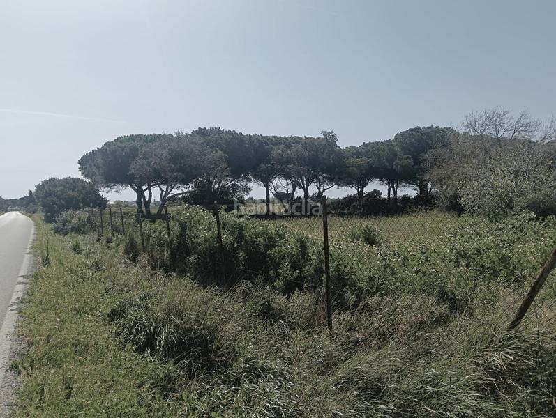 Foto f7bb639f-d368-4aea-aef4-f6f4cfeabacf. Finca rústica a Pelagatos - Pago del Humo Chiclana de la Frontera