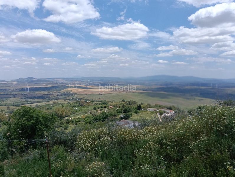 Foto ac4455e1-fd83-4732-b624-053e2432a4b8. Local comercial a Medina Sidonia